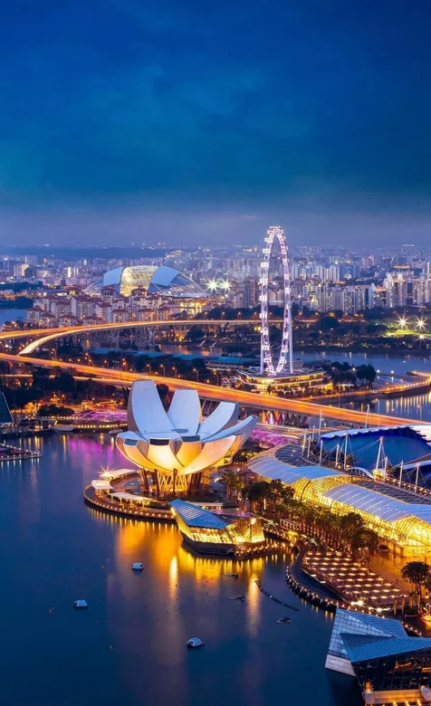 跨海大桥，体育馆，摩天轮，唯美的城市夜景壁纸