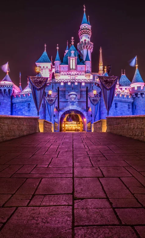 上海迪士尼夜间灯光景色手机壁纸