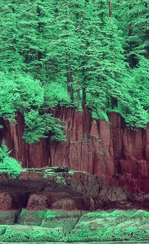 悬崖边绿油油的树林高清手机壁纸