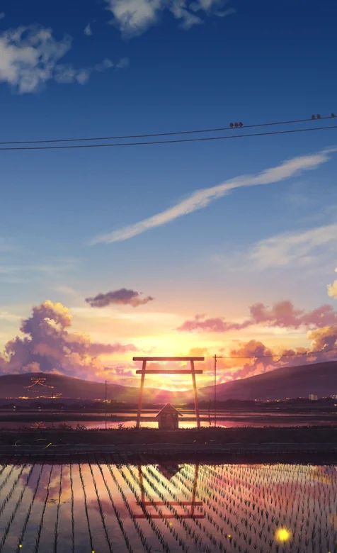 稻田上的唯美夕阳风景手机壁纸