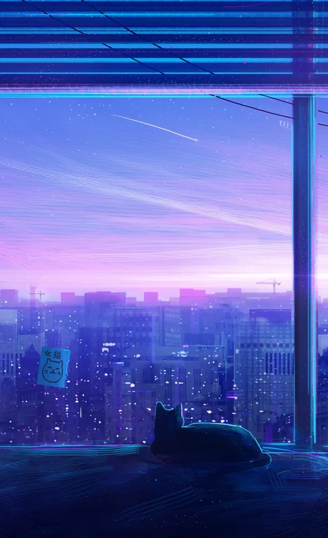 趴在天台上的猫