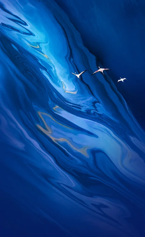 飞天的仙鹤创意唯美手机壁纸