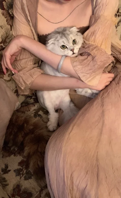 沙发上抱着猫咪的欧美美女