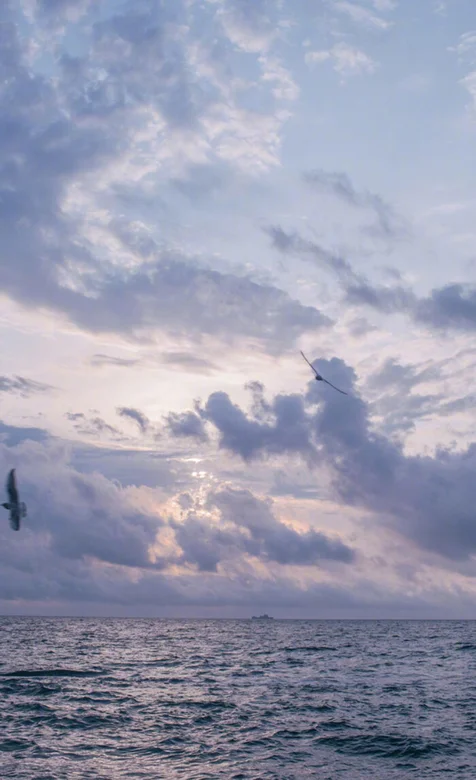 唯美云下平静的大海高清手机壁纸