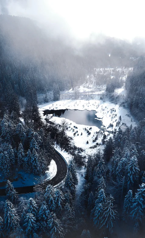 大雪封山的大自然森林高清手机壁纸