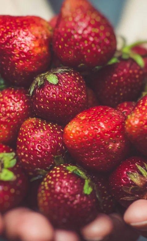 手捧草莓的唯美摄影手机壁纸
