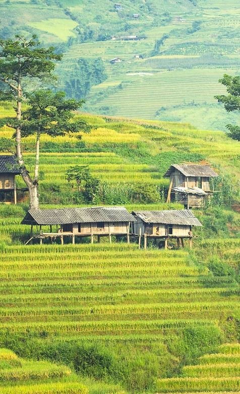 梯田上的农家，唯美梯田摄影手机壁纸图片