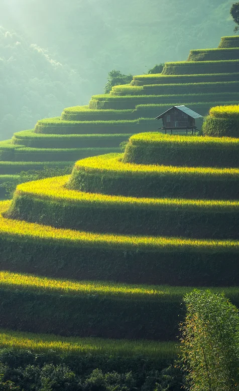 乡村特色的梯田唯美风景