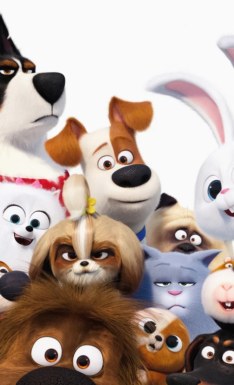 好莱坞3d动画电影“爱宠大机密”超清封面手机壁纸