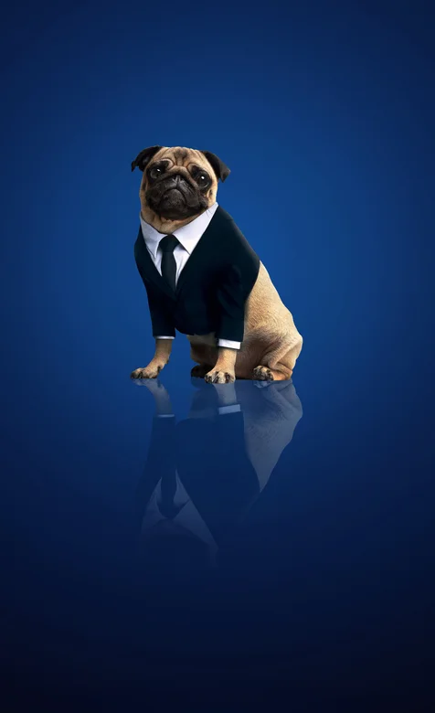 黑衣人电影穿西装的哈巴狗萌手机壁纸