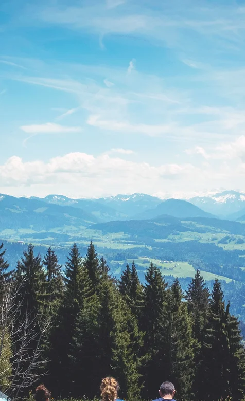 亲近大自然，森林野营的欧美情侣们