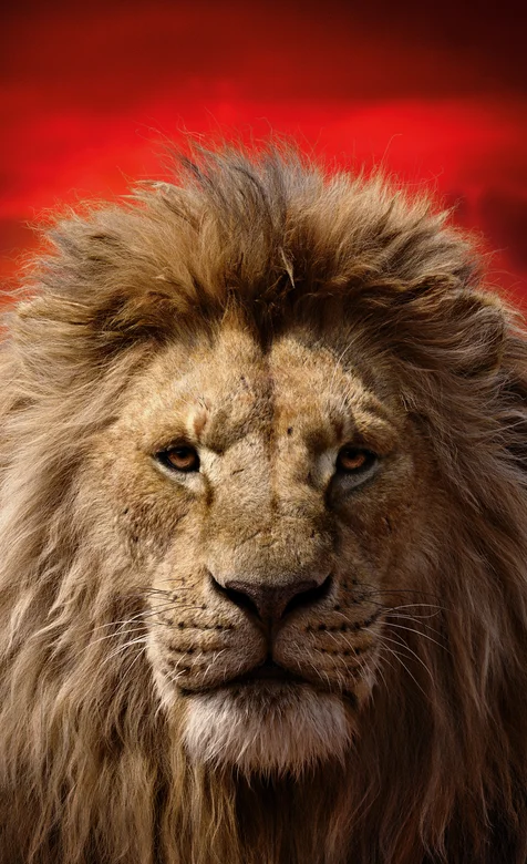 霸气狮子头高清手机壁纸