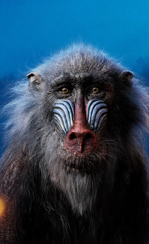 脸上白图腾的猴子头像手机壁纸