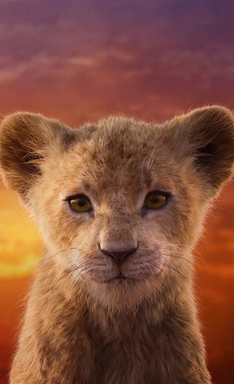 狮子王海报壁纸之小狮子