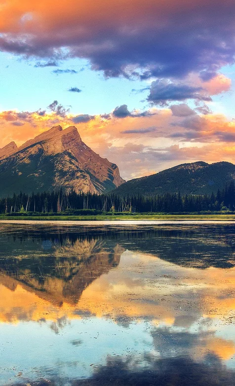 高海拔大山，排列整齐的树林，静静的湖泊手机壁纸