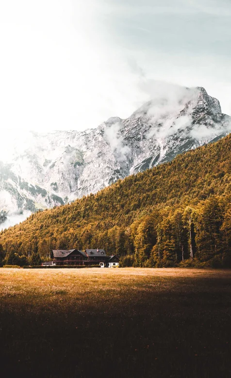 有雪山，有树林，有草地的一幅风景手机壁纸