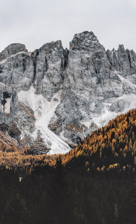 奇特自然景观一边是石山一边是树林的手机壁纸