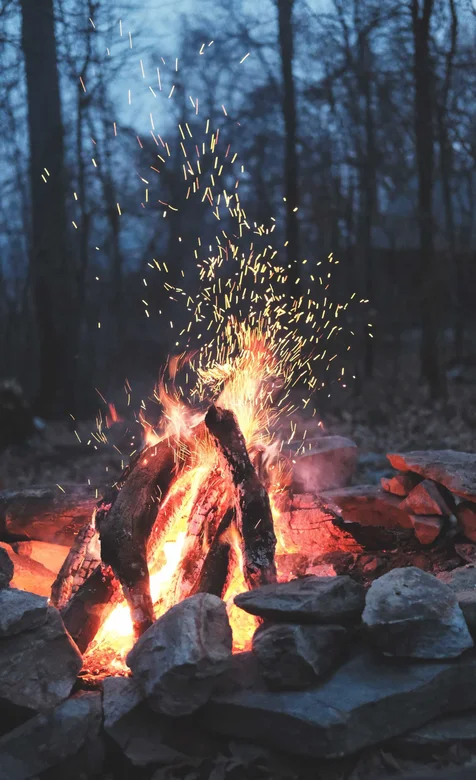 森林里燃烧的篝火唯美摄影手机壁纸