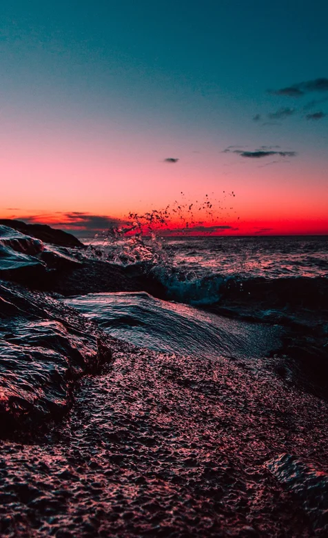 海边岩石，落日海面飞过的海鸥风景手机壁纸