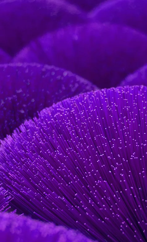 紫色的塑料花棒的创意手机壁纸