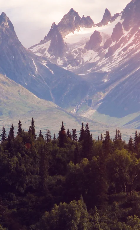 绿树，高山，峡谷高清风景手机壁纸