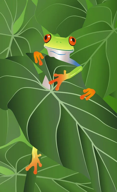 卡通树蛙，绿色荷叶