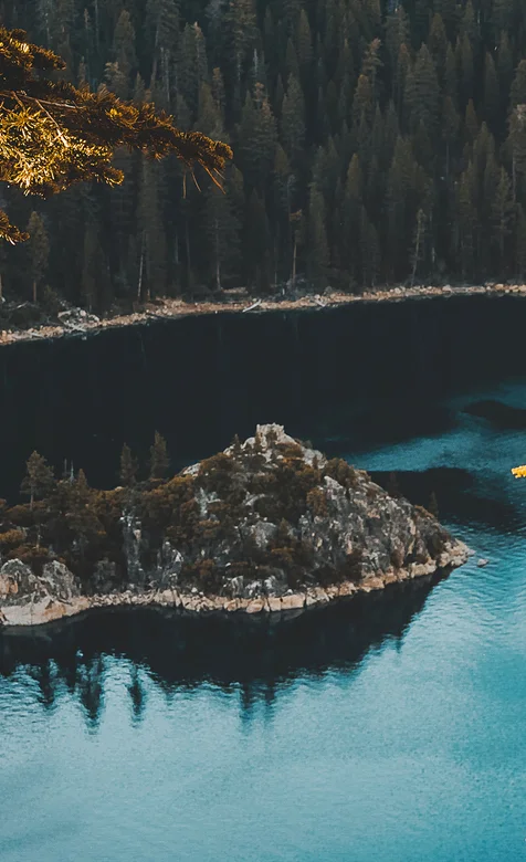 原始茂密的森林 湖中的小岛唯美的大自然风景手机壁纸