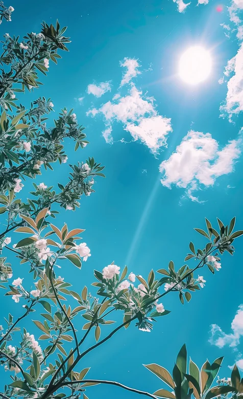 蓝色的天空，白色的花朵，仰望天空视觉手机壁纸图片