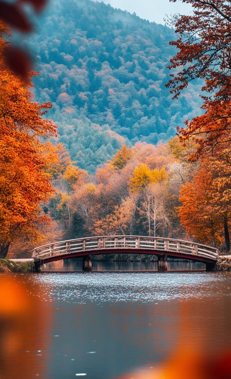 湖中，红叶树，远处，一座拱桥，茂密的森林唯美景色手机壁纸图片