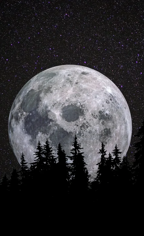 梦幻夜景：满月、繁星与森林剪影