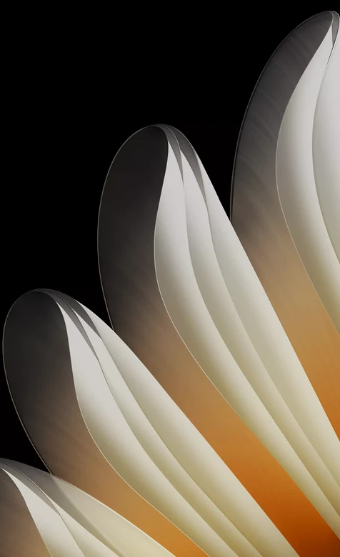 创意光影渐变花瓣艺术装饰图案