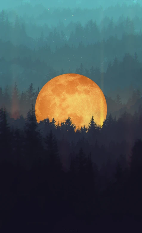 雾林满月夜景插画壁纸