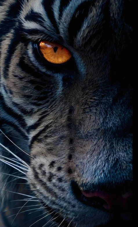 《奇幻森林》谢利可汗老虎特写 暗黑写实猛兽壁纸