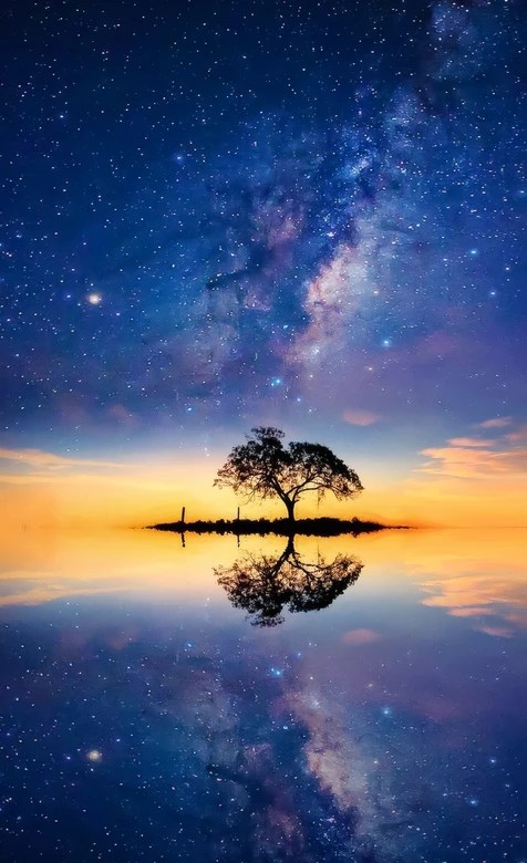 孤树星空倒影·唯美梦幻 银河黄昏治愈系手机壁纸