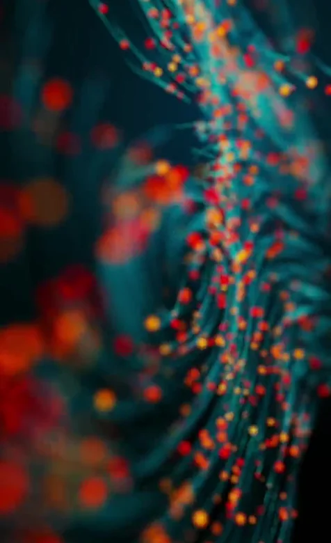 选中粒子动画 动态手机壁纸推荐