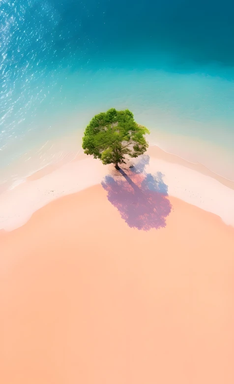 孤树沙滩海景·唯美清新风 治愈系海岛风光手机壁纸