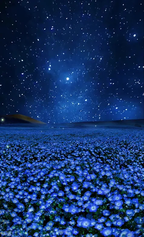星空花海·唯美梦幻蓝色花田动态手机壁纸
