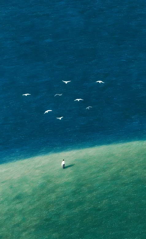 孤人立浅滩群鸟掠蓝海 唯美清新治愈系风景壁纸