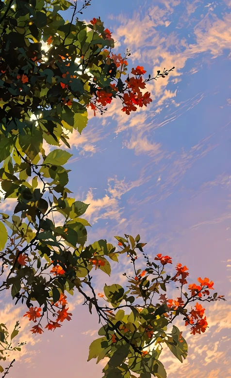晚霞花枝·唯美自然风 高清手机壁纸